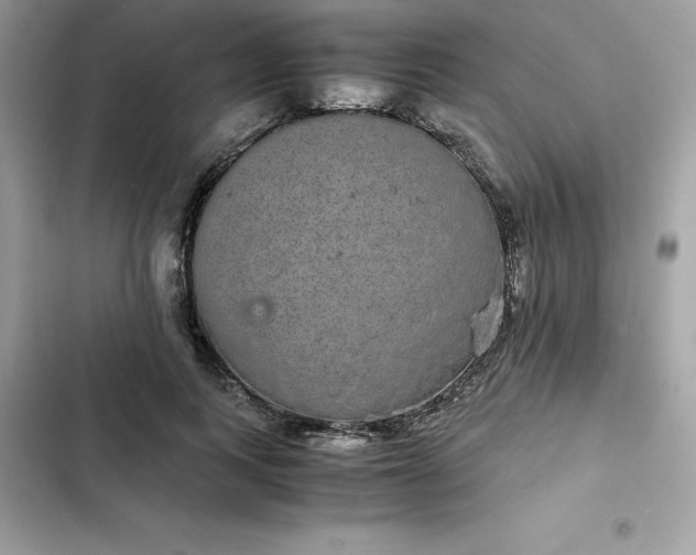 X0000102380743200808151857