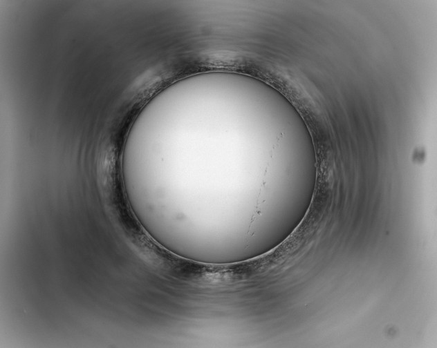 X0000102380744200808151857