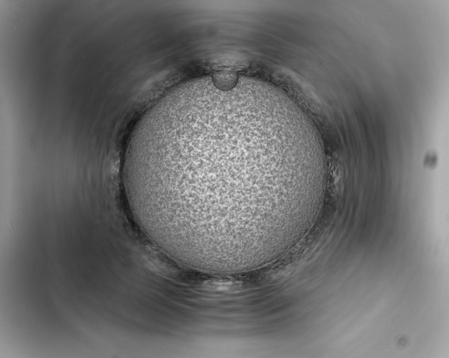 X0000102380745200808151857