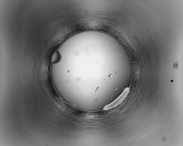 X0000102380746200808151857