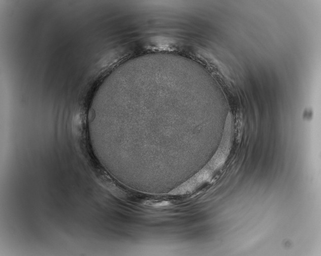 X0000102380747200808151857