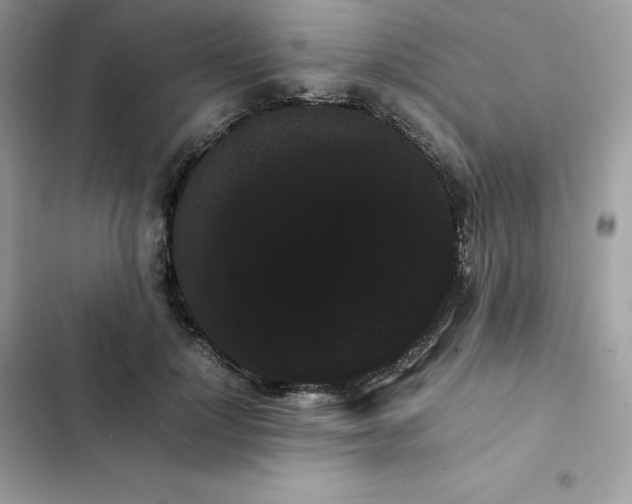 X0000102380748200808151857