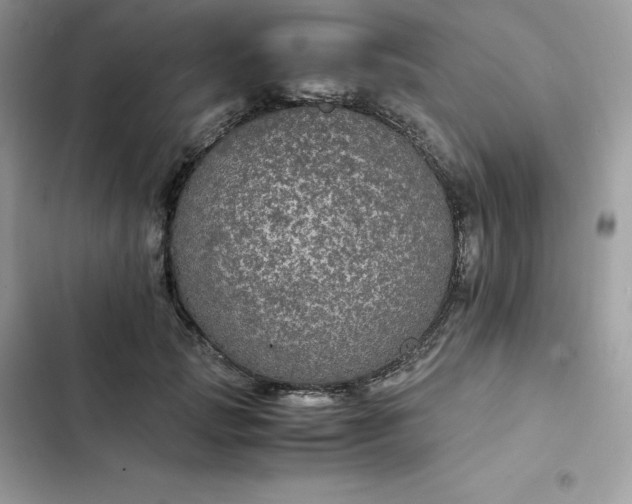 X0000102380749200808151857