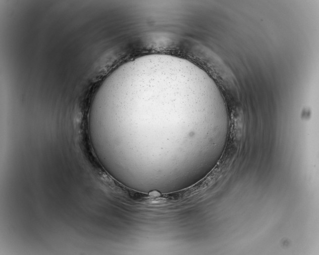 X0000102380750200808151857