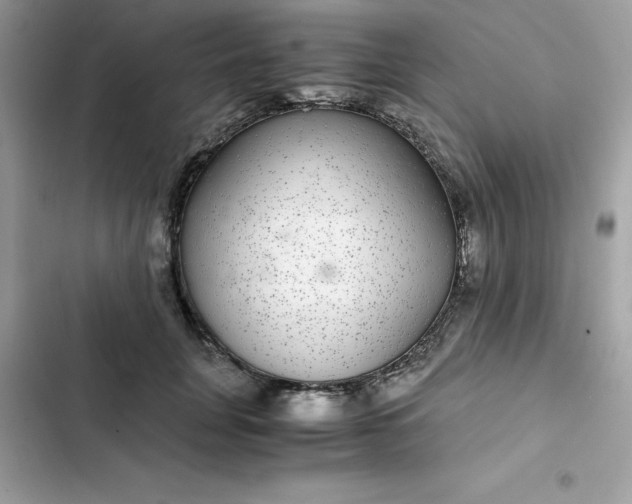 X0000102380751200808151857