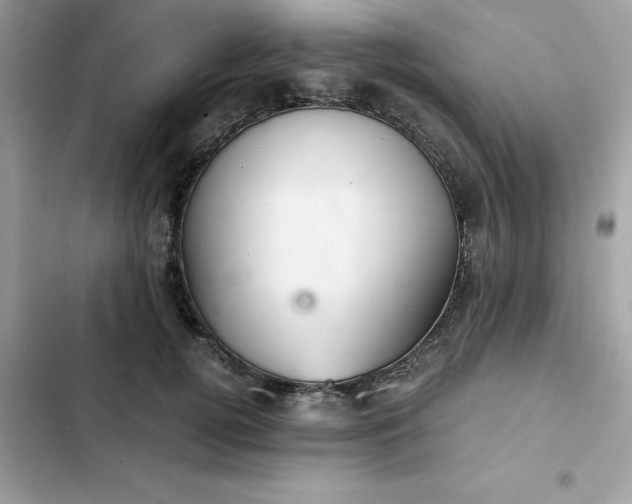 X0000102380752200808151857