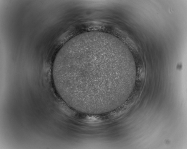 X0000102380753200808151857