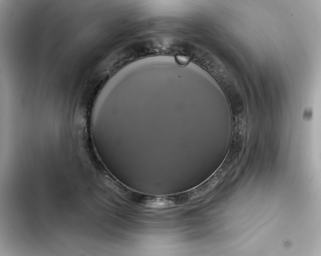 X0000102380754200808151857