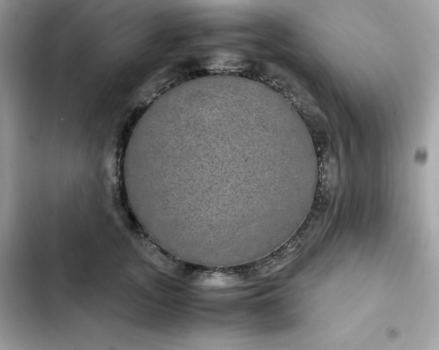 X0000102380755200808151857