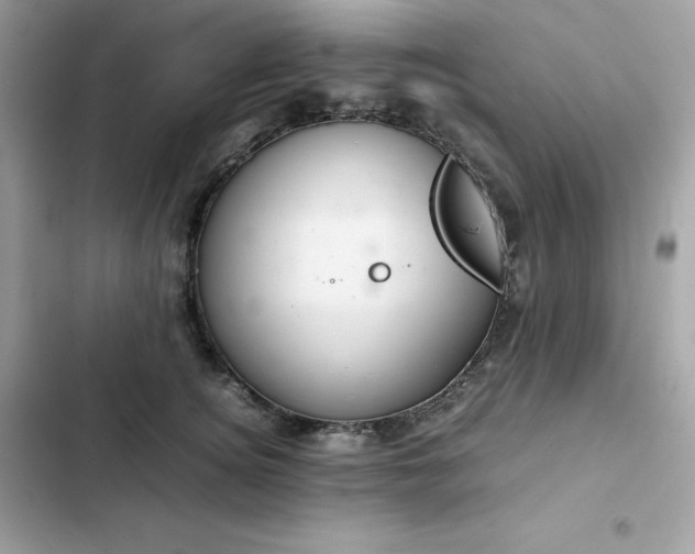 X0000102380756200808151857