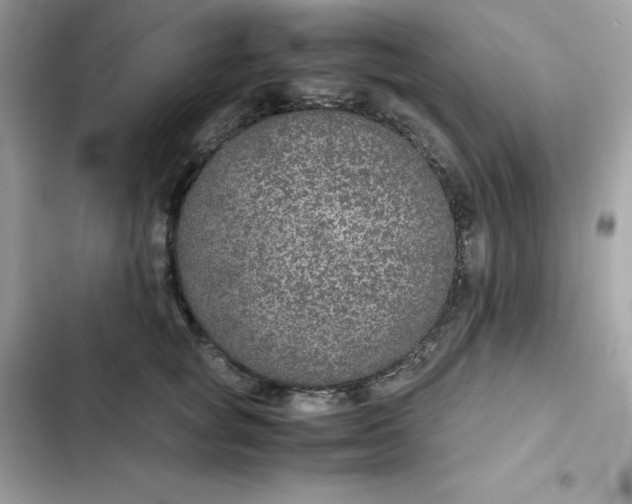 X0000102380757200808151857