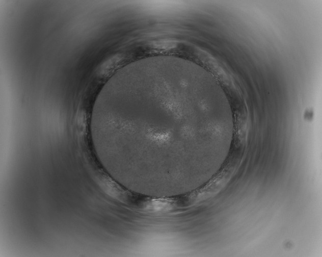 X0000102380758200808151857