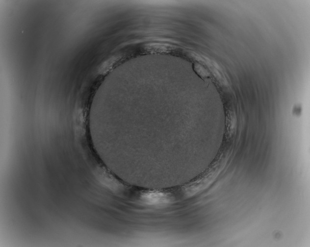 X0000102380759200808151857