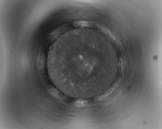 X0000102380760200808151857