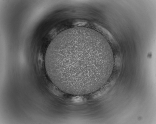 X0000102380761200808151857