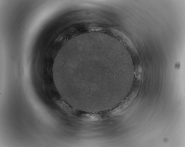 X0000102380763200808151857