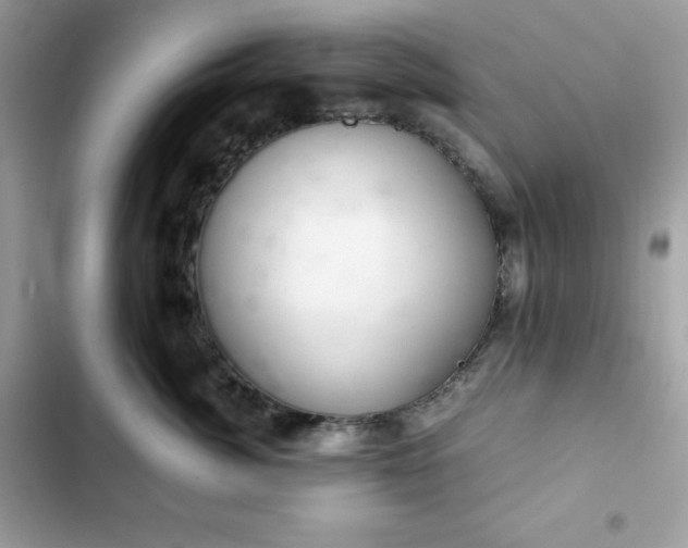 X0000102380764200808151857