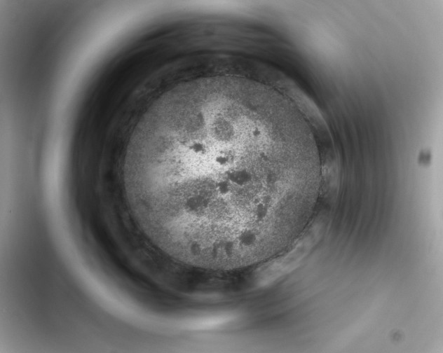 X0000102380765200808151857