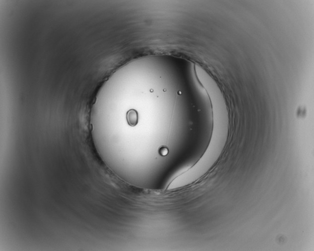 X0000102380768200808151858