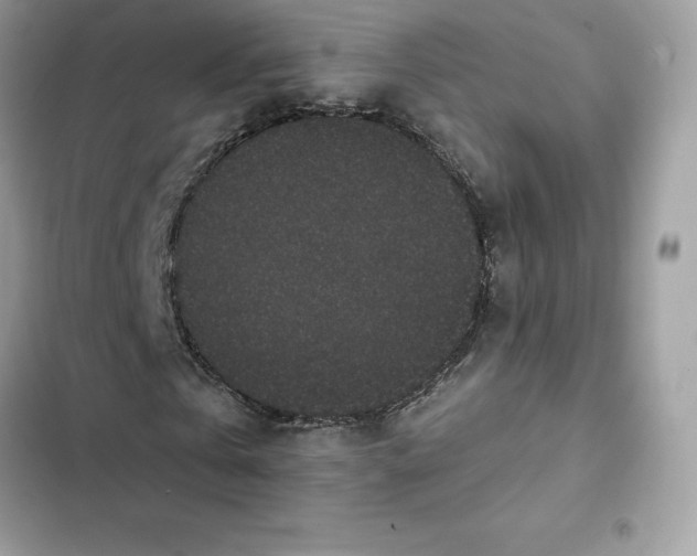 X0000102380769200808151857