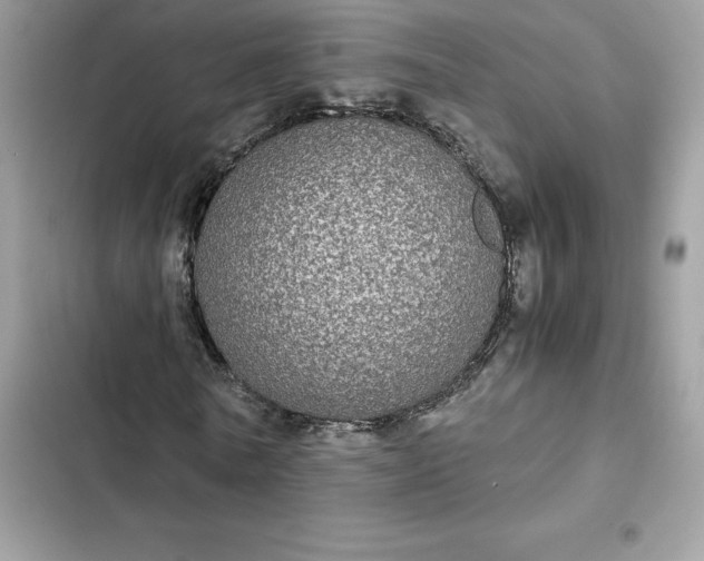 X0000102380770200808151857