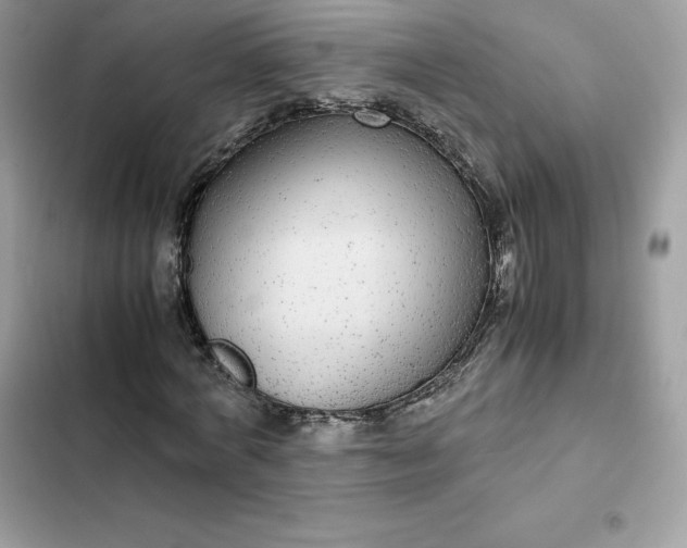 X0000102380772200808151857