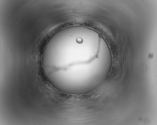 X0000102380773200808151857