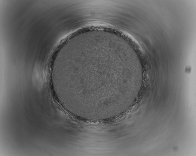 X0000102380775200808151857