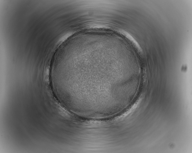 X0000102380777200808151857