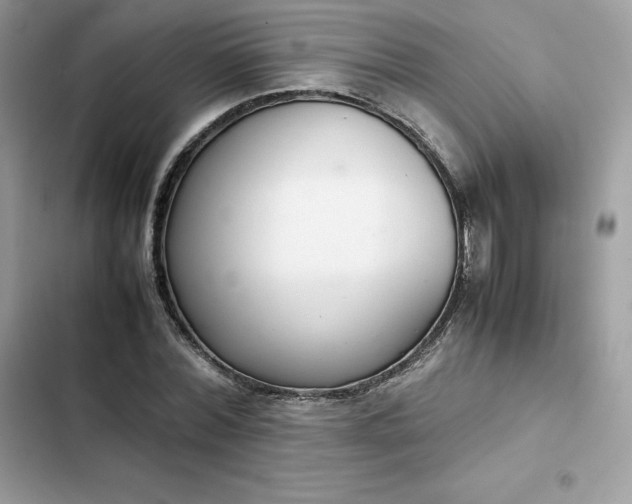 X0000102380780200808151857