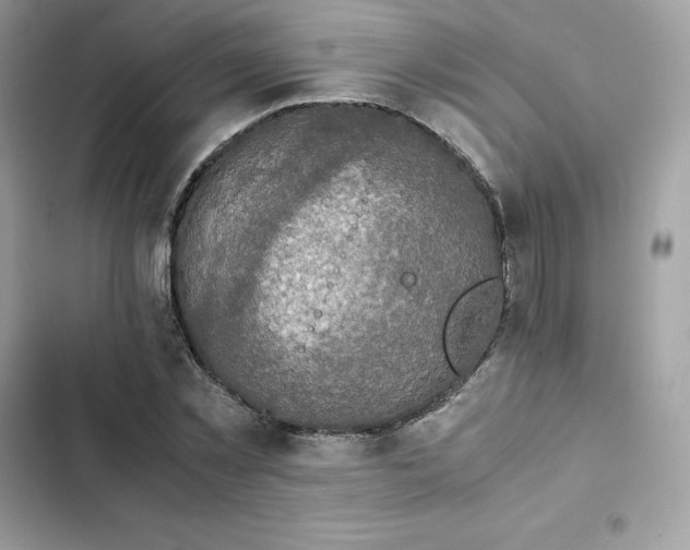 X0000102380781200808151857