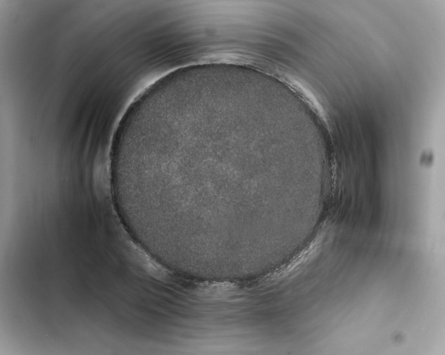 X0000102380784200808151857