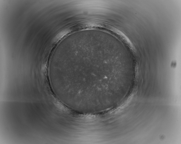 X0000102380785200808151857