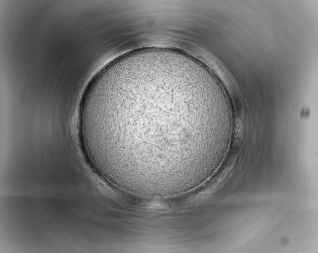 X0000102380787200808151857