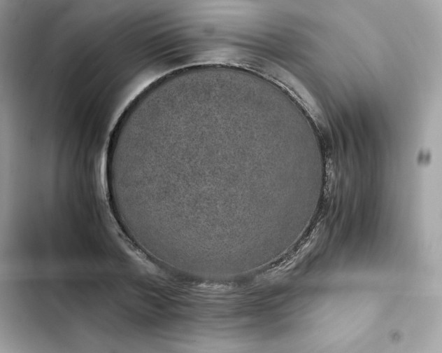 X0000102380788200808151857