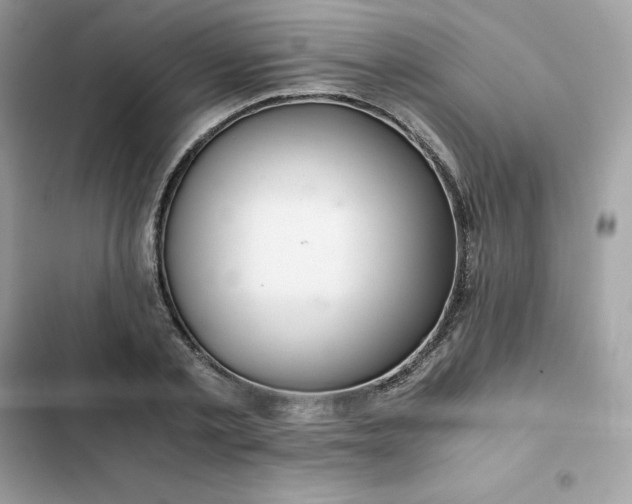 X0000102380789200808151857