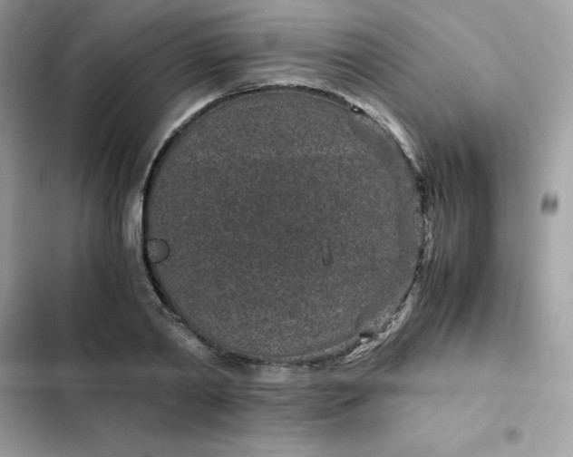 X0000102380790200808151857