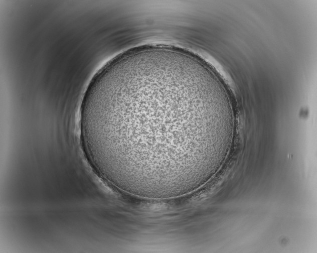 X0000102380791200808151857