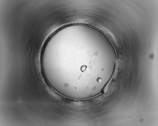 X0000102380792200808151857