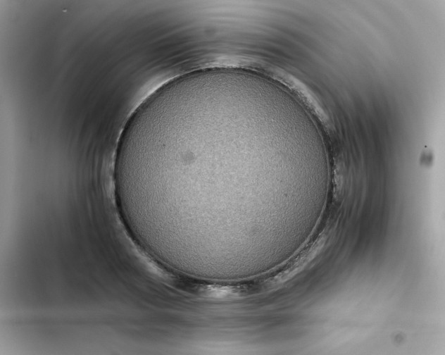 X0000102380794200808151856