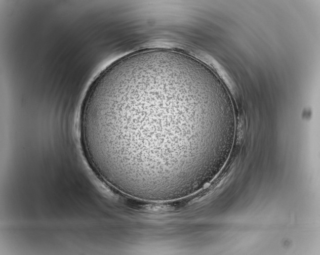 X0000102380795200808151856