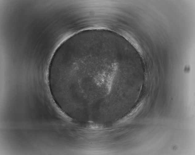 X0000102380797200808151856