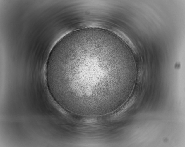 X0000102380798200808151856