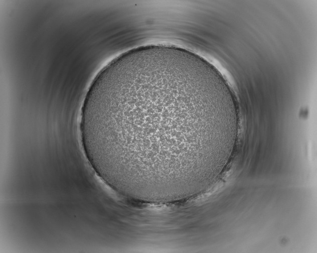 X0000102380799200808151856