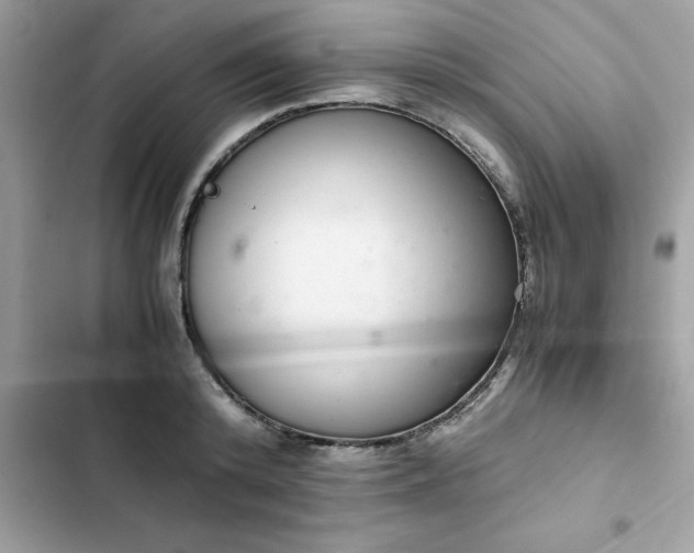 X0000102380800200808151856