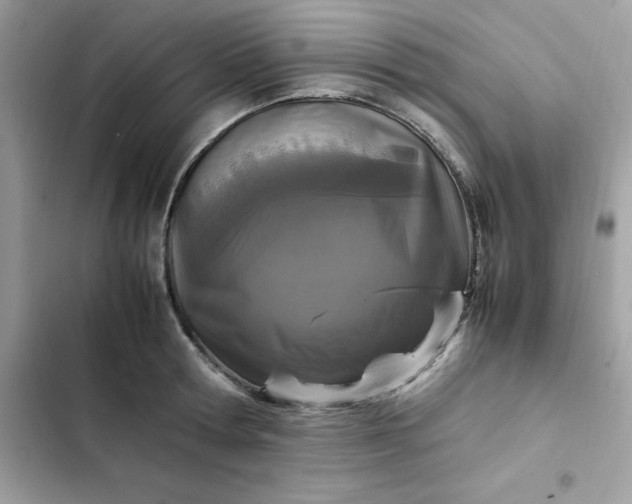 X0000102380802200808151856