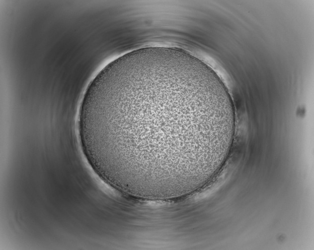 X0000102380803200808151856