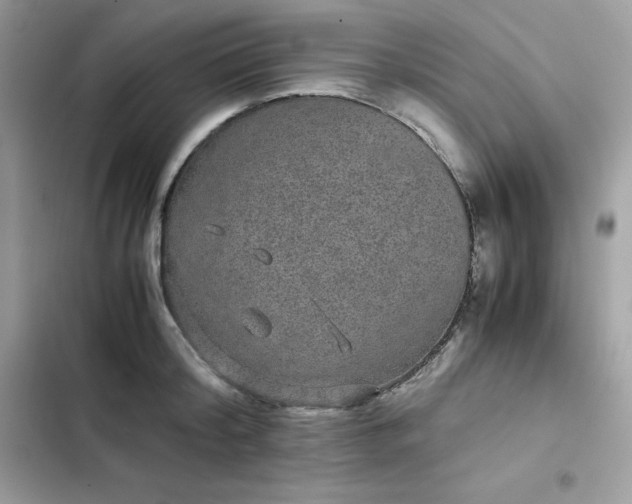 X0000102380804200808151856