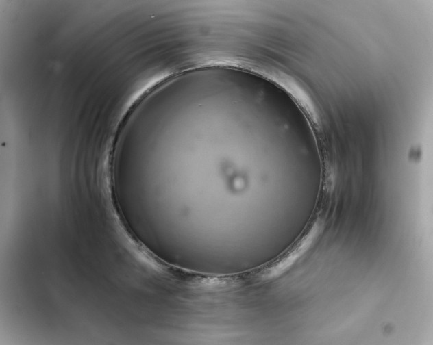 X0000102380806200808151856