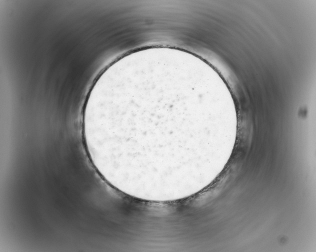 X0000102380807200808151856